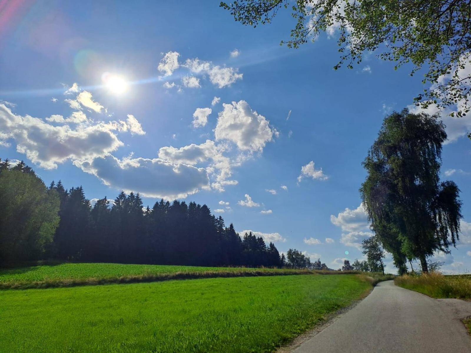 Ferienhaus Am Bach Achslach Eksteriør bilde